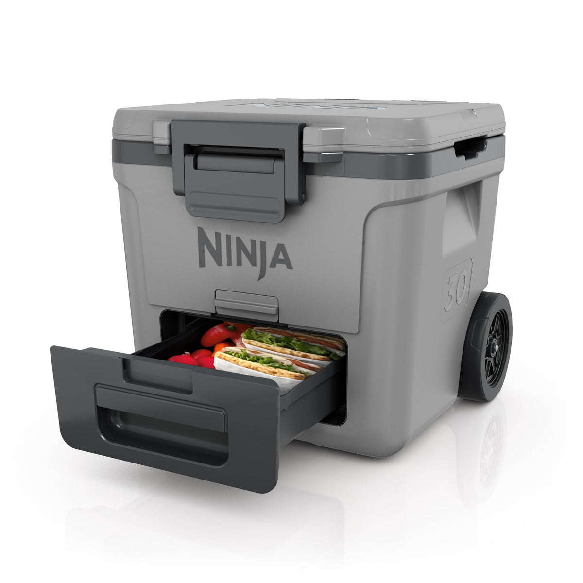 Ninja FrostVault Kühlbox mit Rollen und Isolierung, FB245AMZEUUKGN
